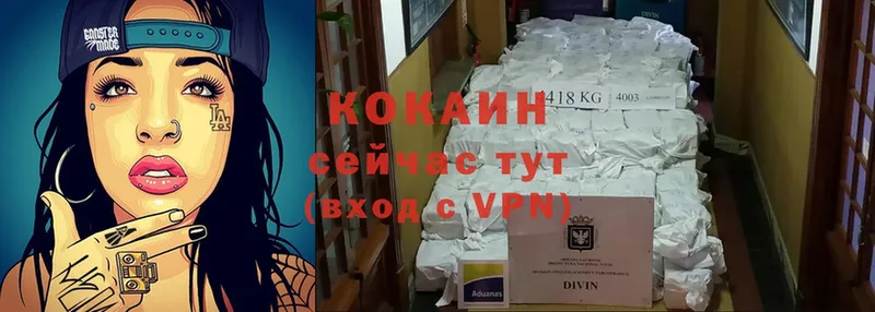 магазин продажи   Порхов  КОКАИН Колумбийский 